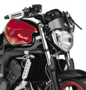 fz6-dpm-8